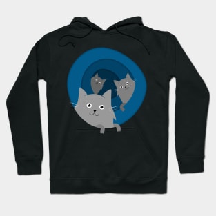 Through the Cat Hole Hoodie